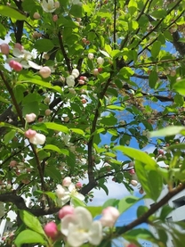 ����΂�...