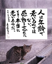 䂩...