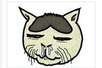 ���x�݂ł�