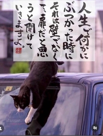 �����܂���