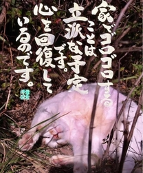 �u���O�摜