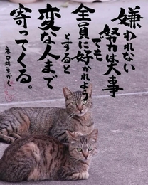 �u���O�摜