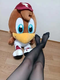 �u���O�摜