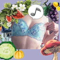 �u���O�摜