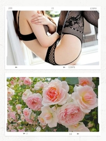 �u���O�摜