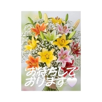 �u���O�摜