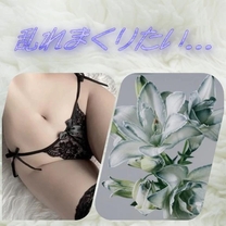 �u���O�摜