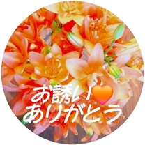 �u���O�摜