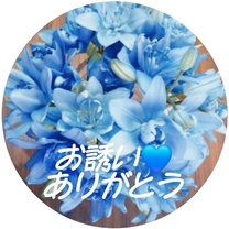 �u���O�摜
