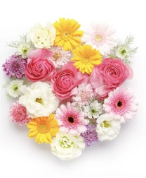 ���ε����β���