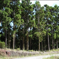 �I�v�V��...