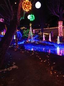 ?1�T�Ԃ̏o�Η\��?