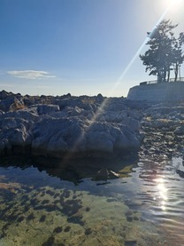 ���ε����β���