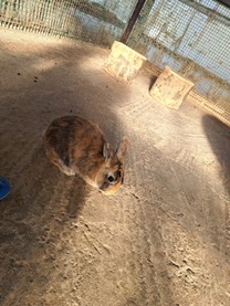 ���ε����β���