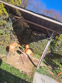 ���ε����β���