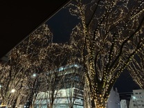 �o�Η\��2026