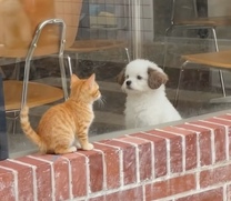 ���ε����β���