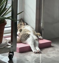 ���ε����β���