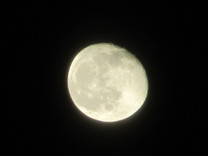εβ
