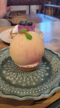 �u���O�摜