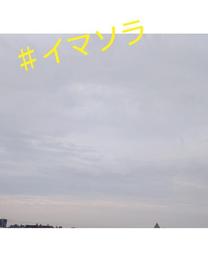 ͂悤...