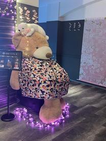 �u���O�摜