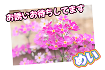 �u���O�摜