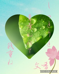 �u���O�摜