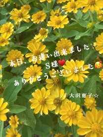 �u���O�摜