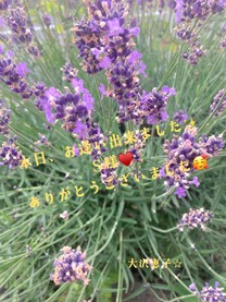 �u���O�摜