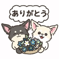 Tl