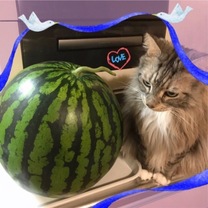 o΂...
