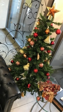 �o�΂���...