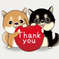 12���`���O�̂��\��...