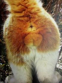 ���ε����β���