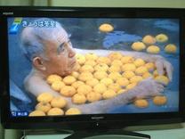 ���ε����β���