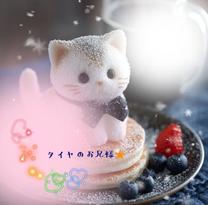 �u���O�摜