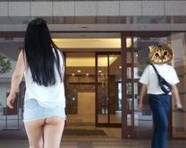 .g...