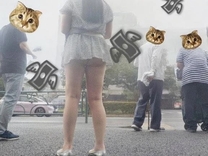 �f���������� �o��������