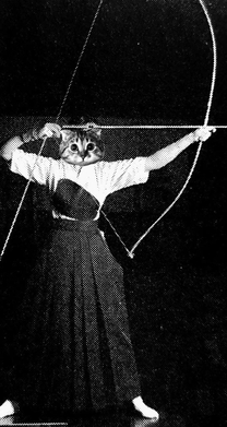 �� �˂��...