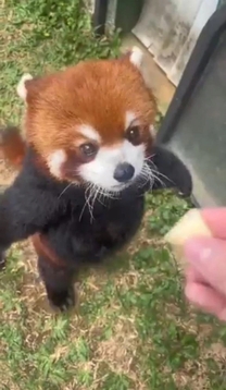 ͂悤...