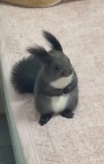 ����΂��