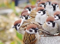 �N����(*^^*)