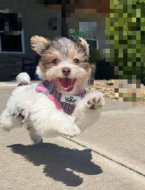 �N����(*^^*)