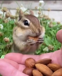 ���肪��...