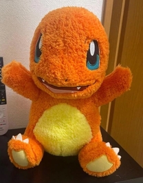 �u���O�摜