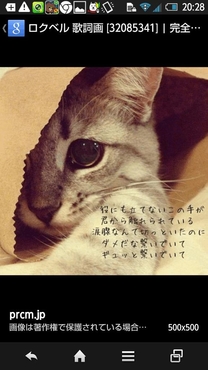 �����Ă�...