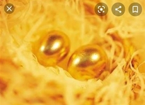 ͗L...