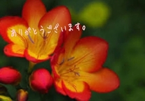 ������L...