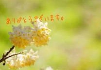 ������L...